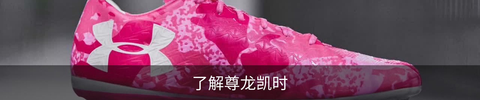 了解尊龙凯时